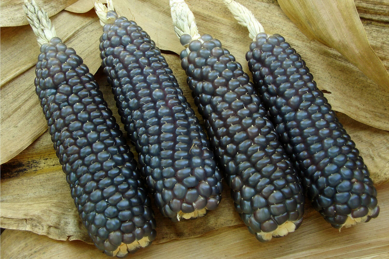 Black corn crade 2 kilo